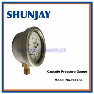 stainless Steel, Brass Connector Capsule Gauge